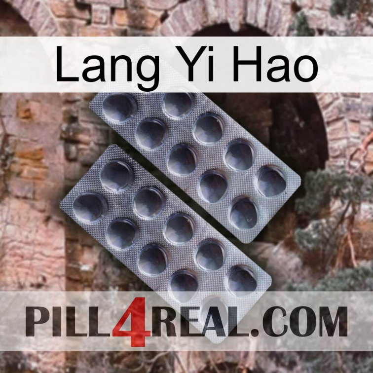 Lang Yi Hao 31